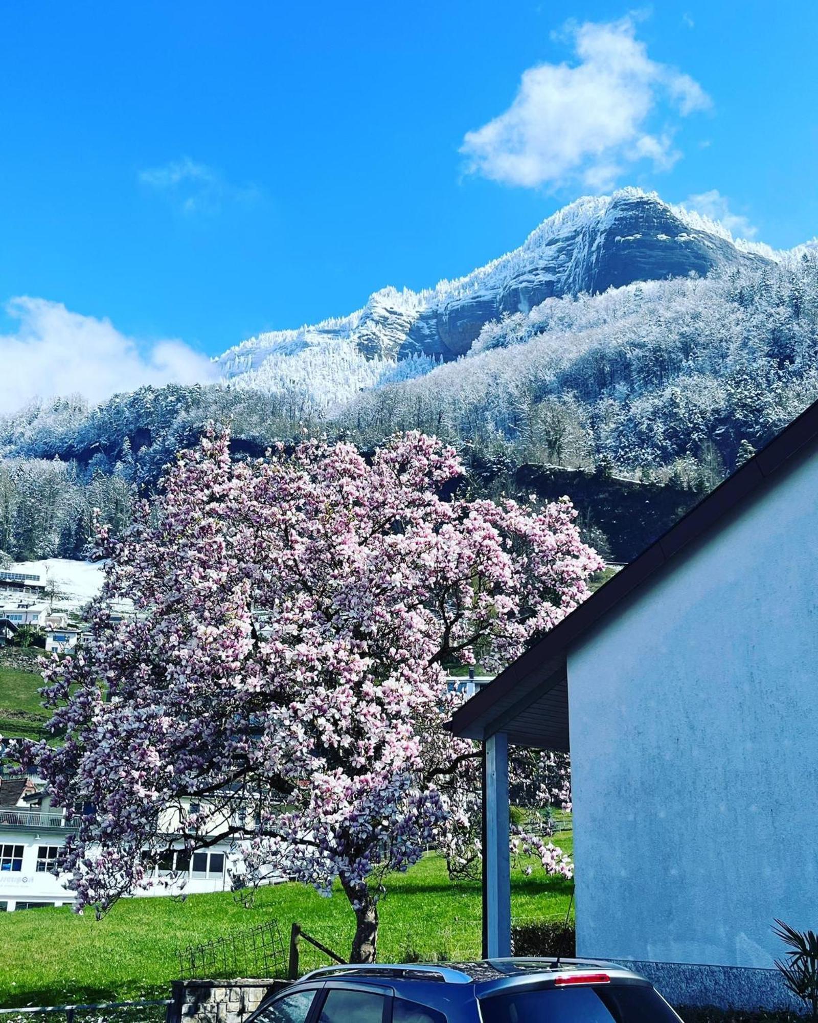 Chalet Oz Вицнау Екстер'єр фото