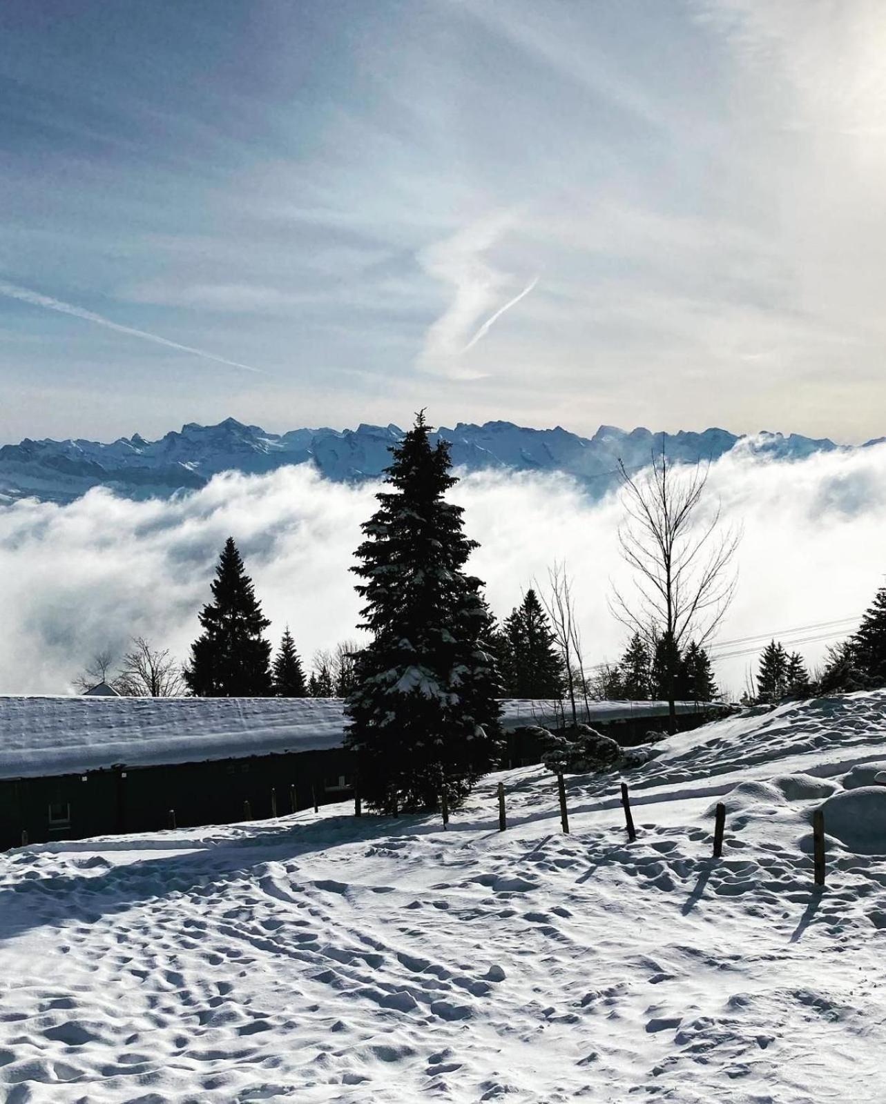 Chalet Oz Вицнау Екстер'єр фото